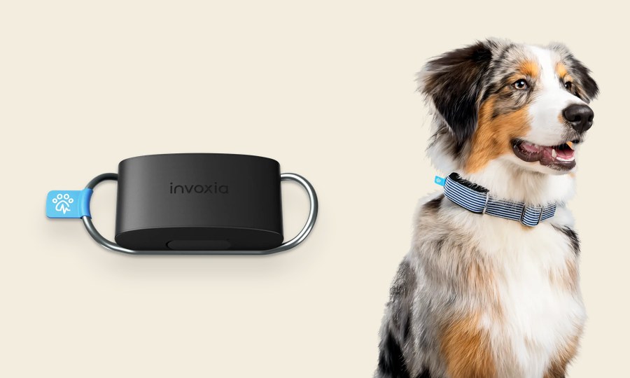 Notre avis sur le Biotracker d'Invoxia