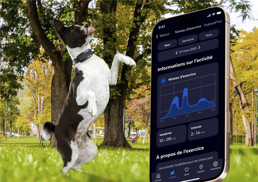 Chien sautant dans un parc à côté d'un écran d'application Biotracker affichant le niveau d'exercice quotidien