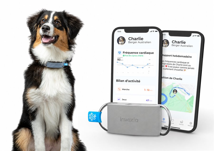 Le Biotracker posé à côté d'un chien, avec l'application affichant la fréquence cardiaque, le bilan d'activité et le trajet GPS