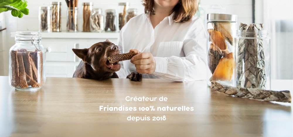 Cani-gourmand