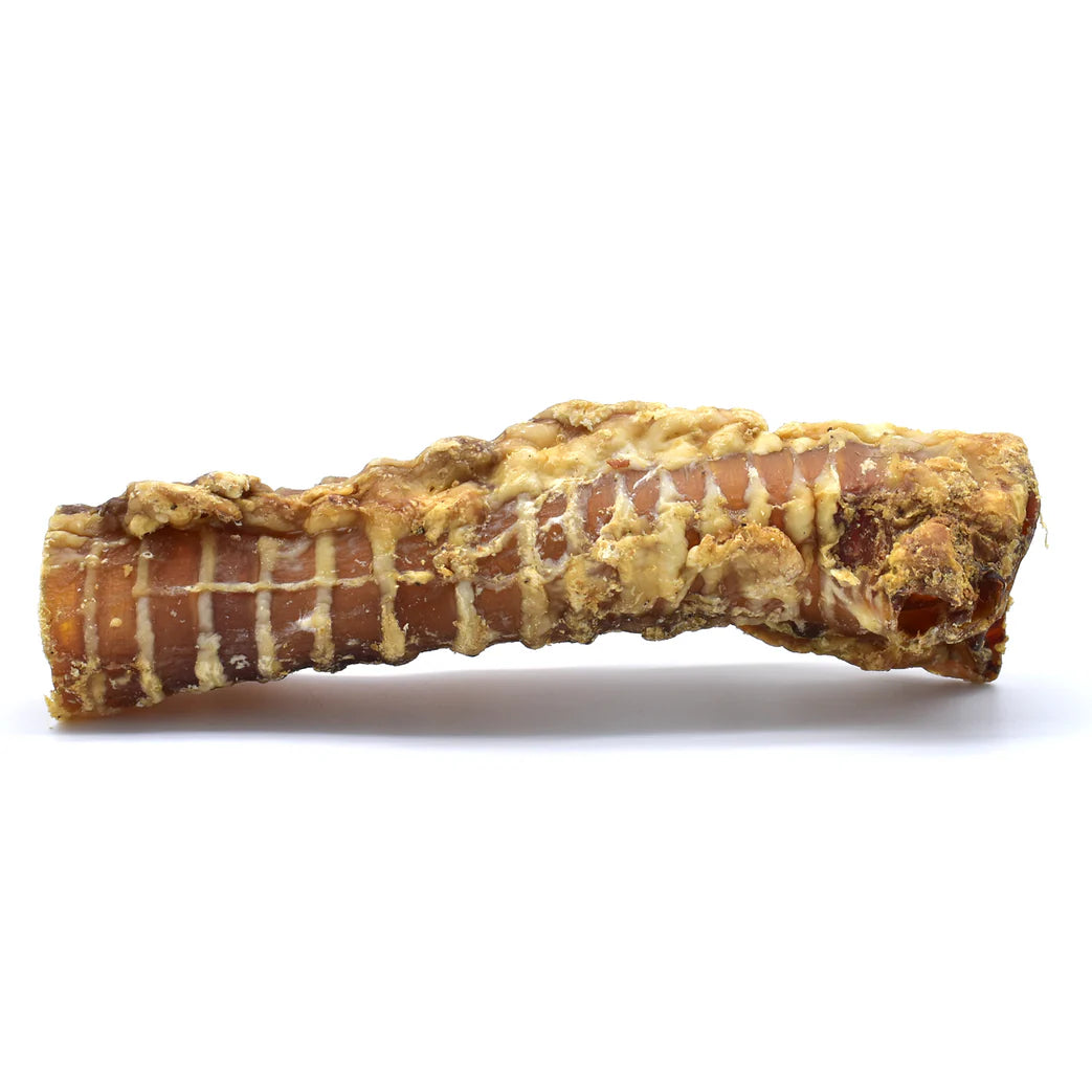 Trachée de bœuf