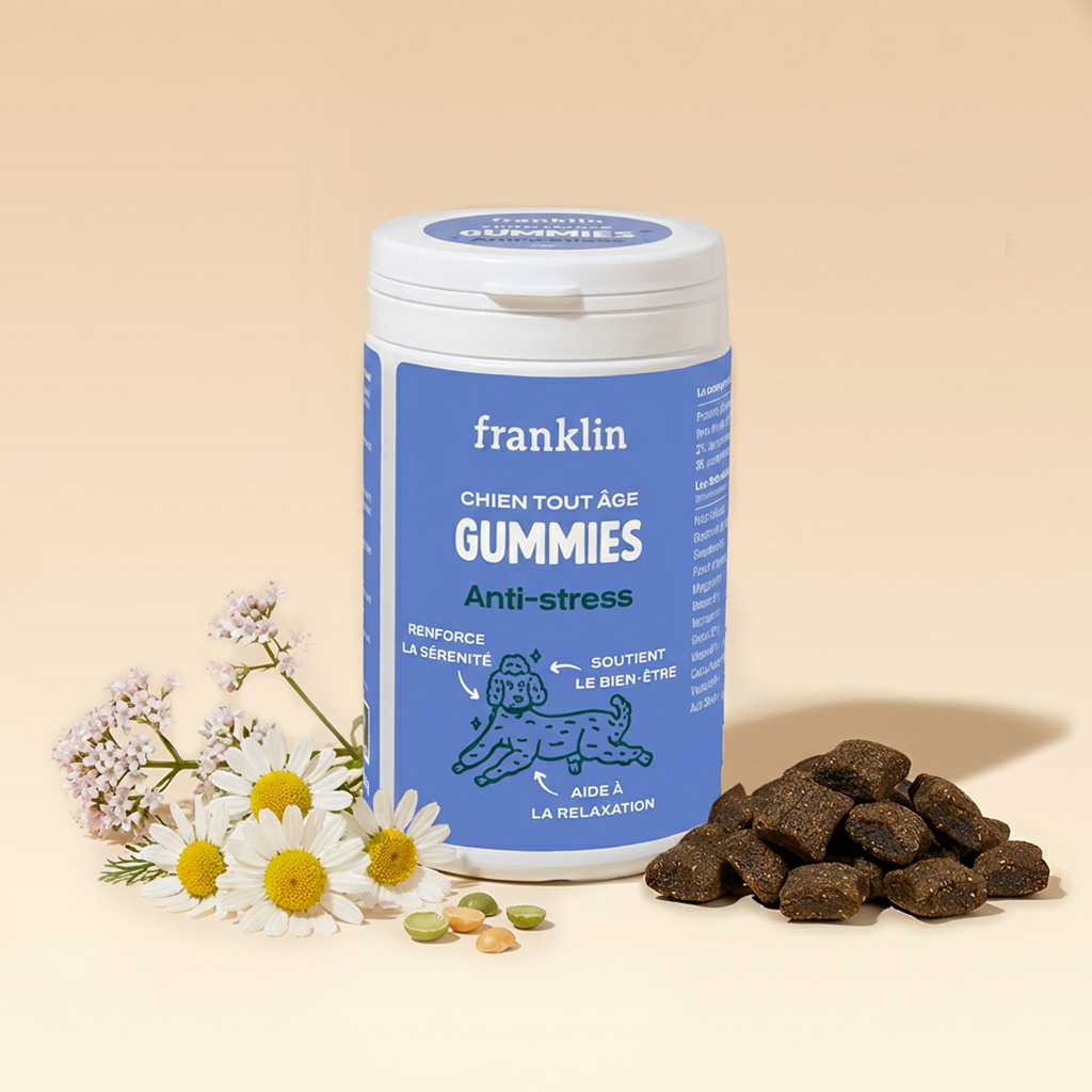 Gummies Anti-Stress