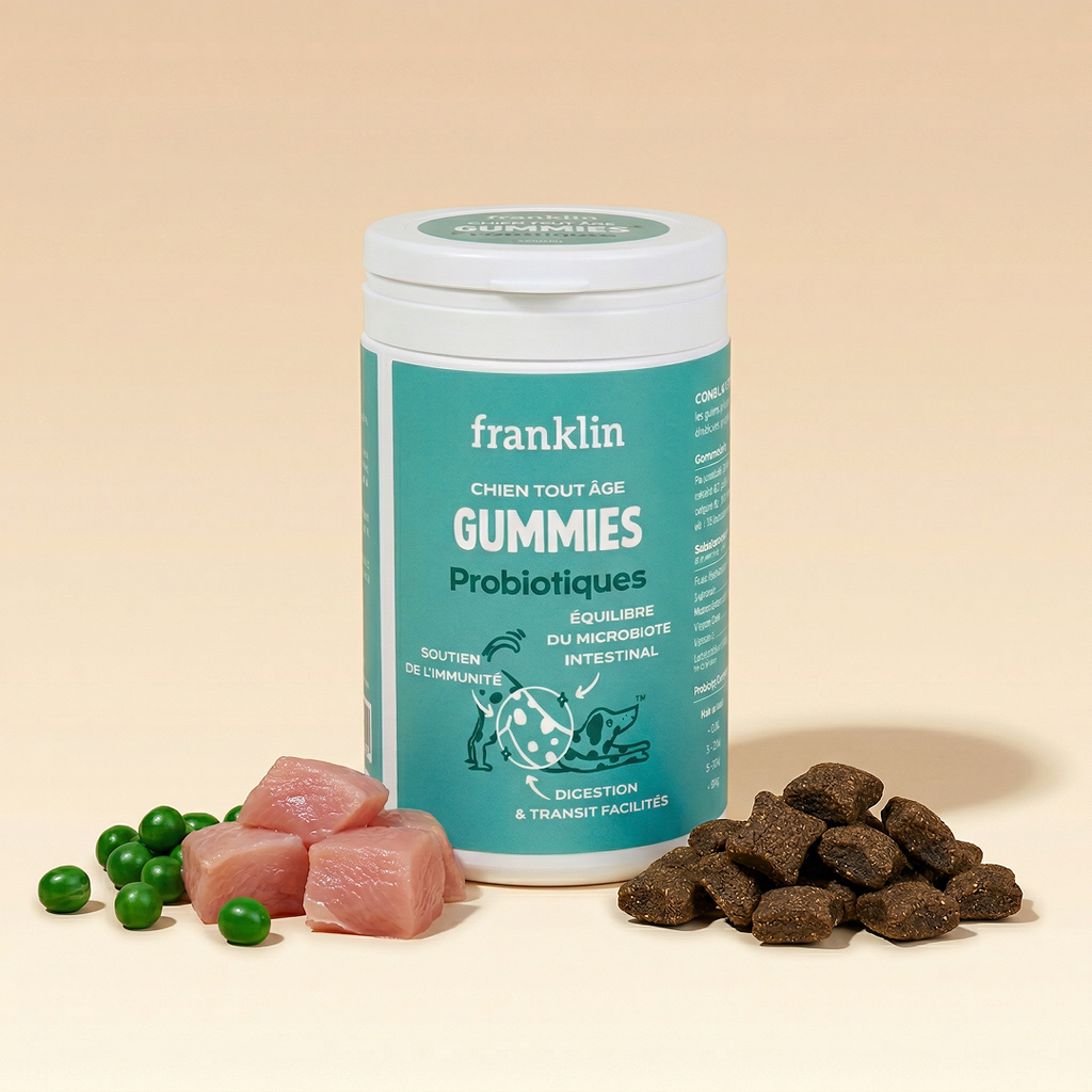 Gummies Probiotiques
