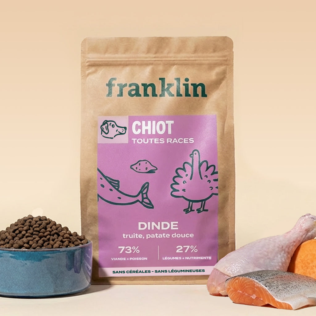 Croquettes Dinde, Truite & Patate Douce
