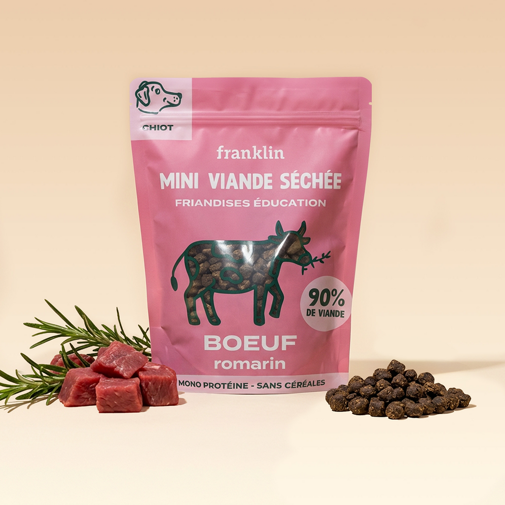 Mini Viande Séchée Boeuf