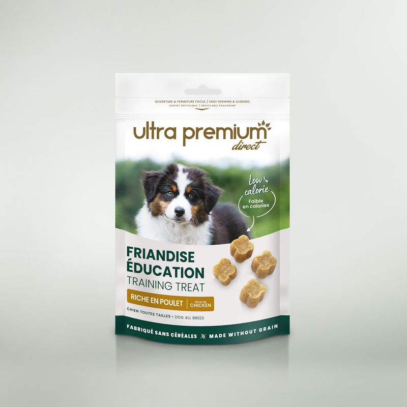 Friandise Éducation Poulet