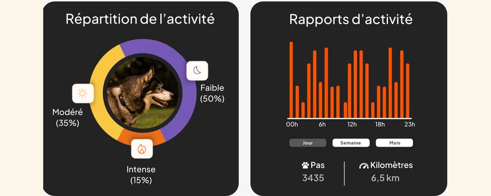 Écrans de l'application Weenect : répartition de l'activité et rapport d'activité par heure avec pas et kilomètres